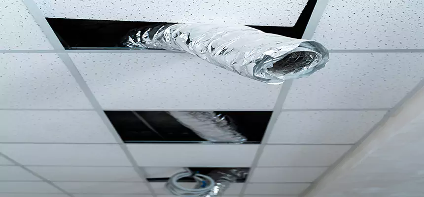 Our Air Duct Pet Hair Removal Services in West Hempstead, NY