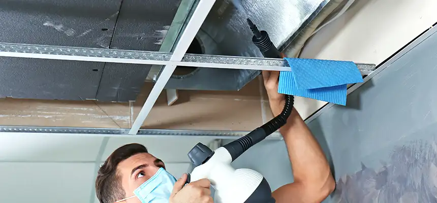 Our Air Duct Rodent Removal Services in West Hempstead, NY