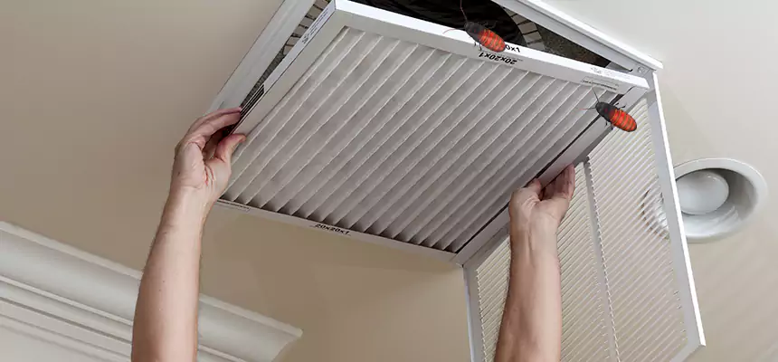 Our Insect Removal from Air Ducts Services in West Hempstead, NY