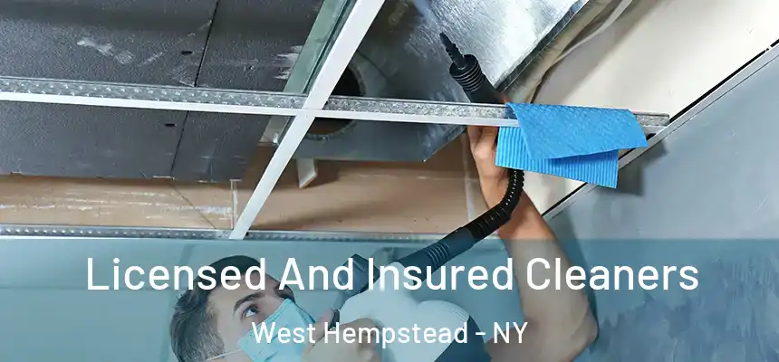  Licensed And Insured Cleaners West Hempstead - NY