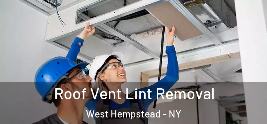  Roof Vent Lint Removal West Hempstead - NY