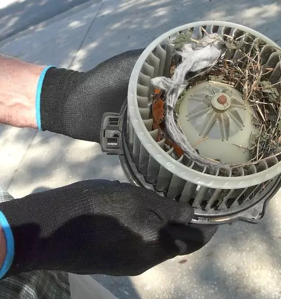 About Air Duct Mice Removal in West Hempstead, NY