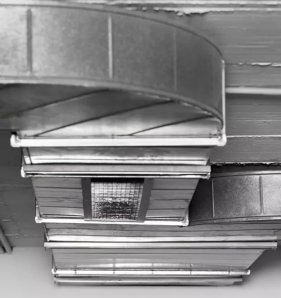 Professional Air Duct Pest Removal in West Hempstead, NY