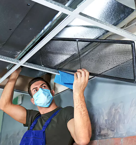 Professional Air Duct Pollen Cleaning in West Hempstead, NY