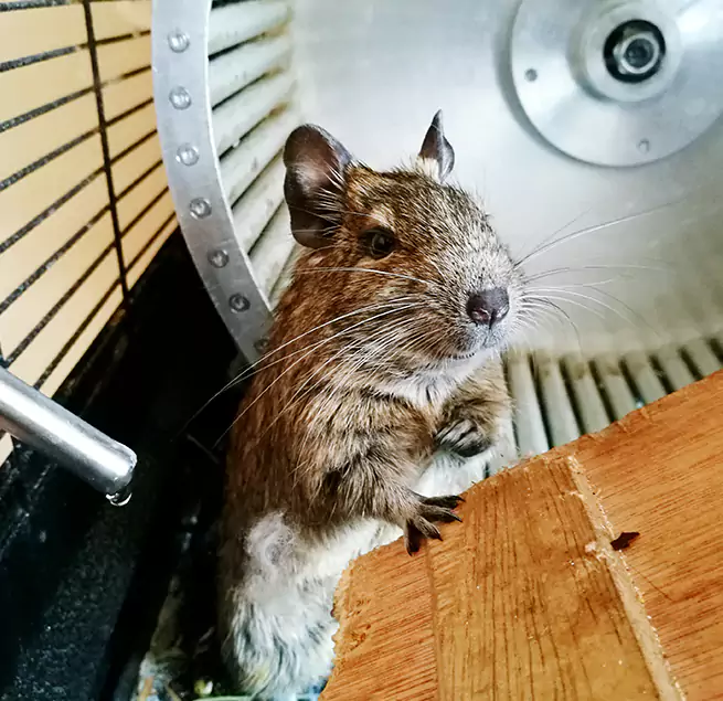 Why Homeowners & Businesses Trust Us West Hempstead, NY